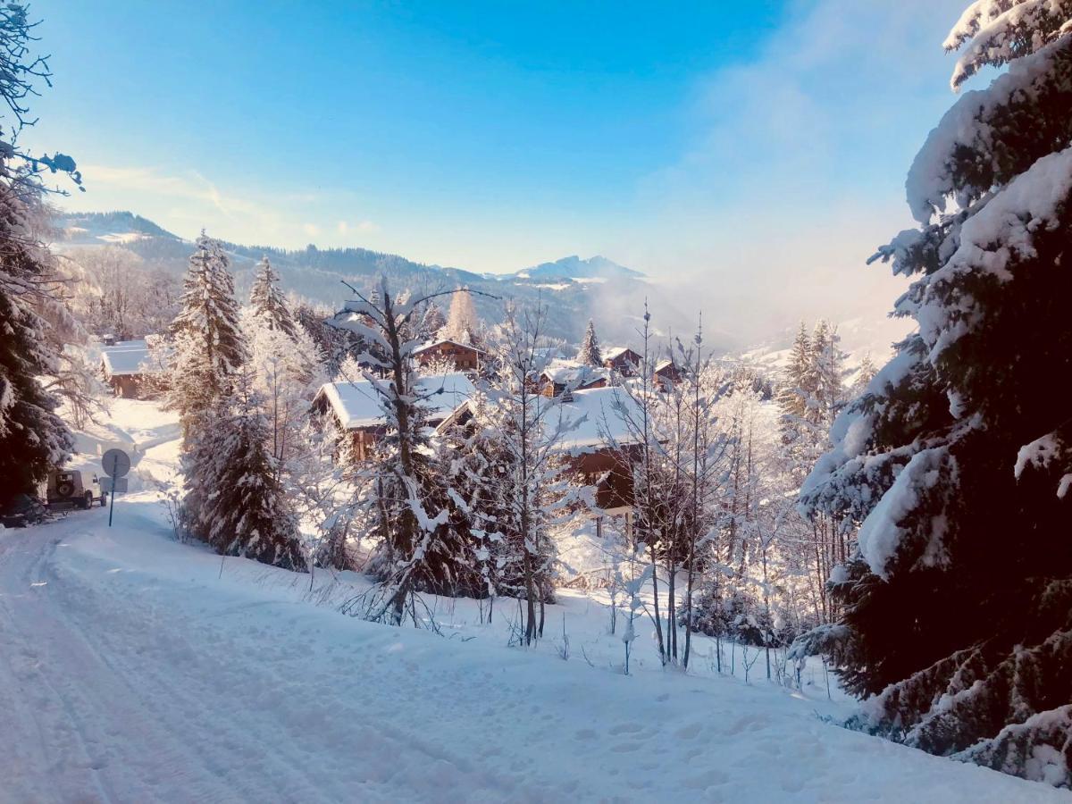 Le Chalet De Nabor Les Gets Luaran gambar